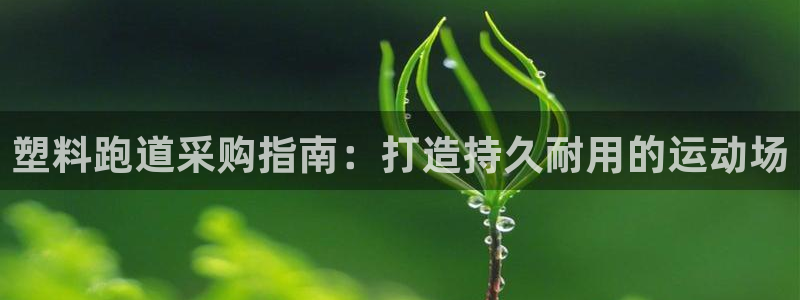 尊龙凯时老板：塑料跑道采购指南：打造持久耐用的运动场