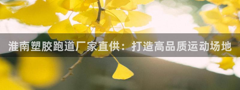 尊龙人生就是博ag旗舰厅:淮南塑胶跑道厂家直供:打造高品质运