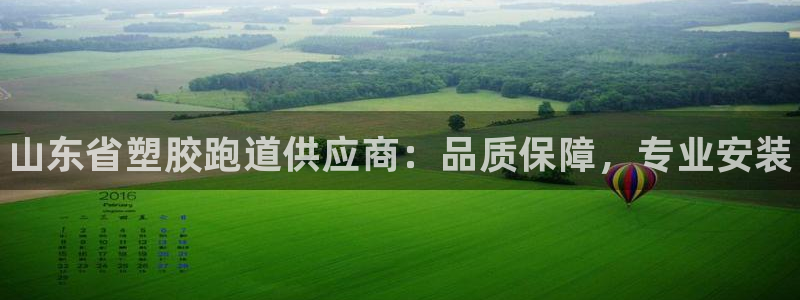 尊龙AG旗舰店:山东省塑胶跑道供应商:品质保障,专业安装